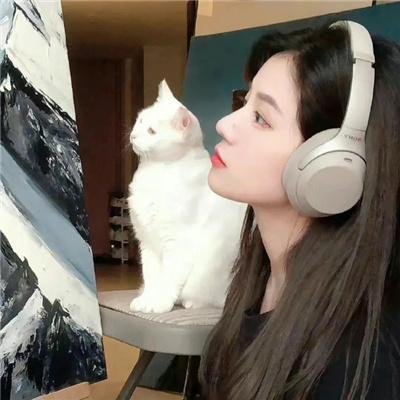 人各有计